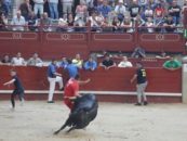 Dos heridos graves por asta de toro en la suelta de reses de Leganés
