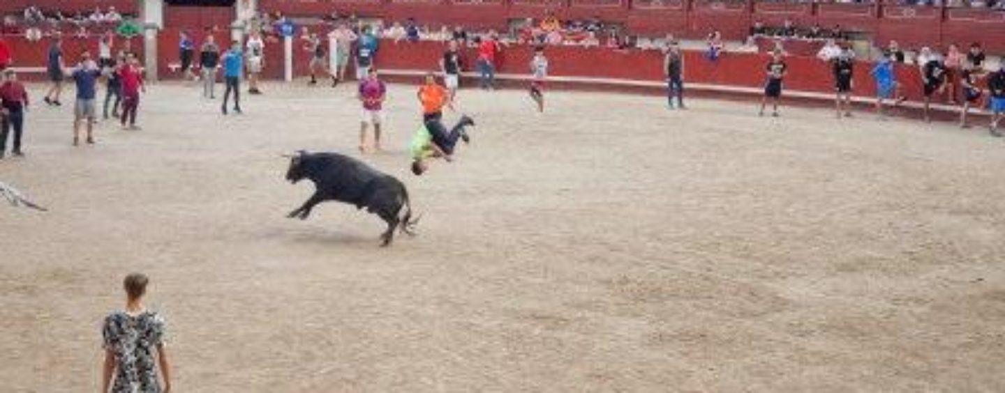 El Ayuntamiento de Leganés pondrá en manos de su Asesoría jurídica la suspensión del encierro taurino de hoy