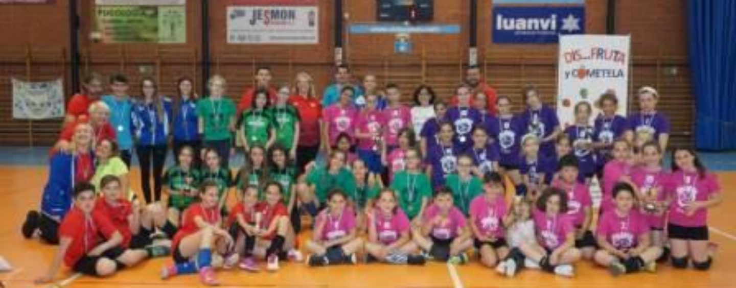 Información Club Voleibol Leganés