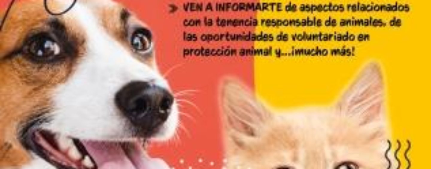 El Ayuntamiento de Leganés organiza una jornada de adopción animal dentro de la campaña de fomento de la tenencia responsable