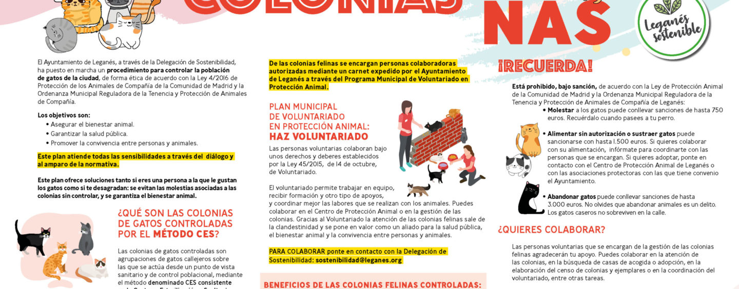 Leganés pone en marcha un Plan Municipal de Gestión Ética de las Colonias Felinas