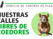 Ratatouille en la ciudad de la Champions Burguer