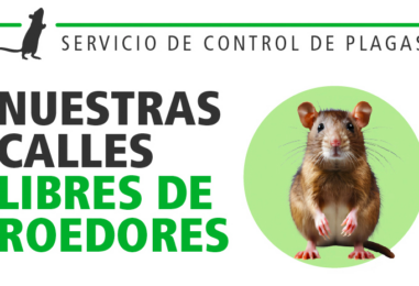 Ratatouille en la ciudad de la Champions Burguer