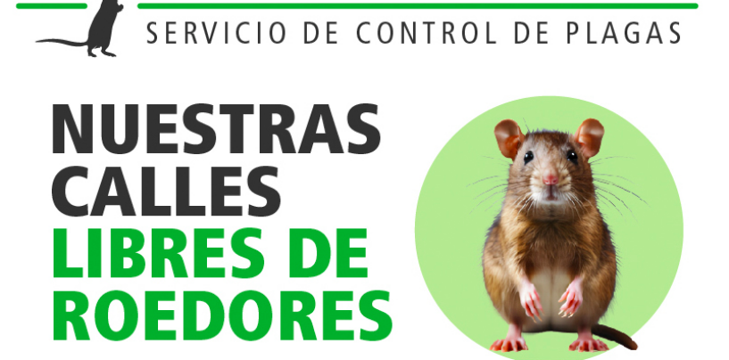 Ratatouille en la ciudad de la Champions Burguer